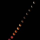 The sequence